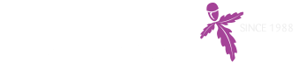 Mitchell Prockter Financial Services Logo